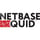 NetBase Quid Logo